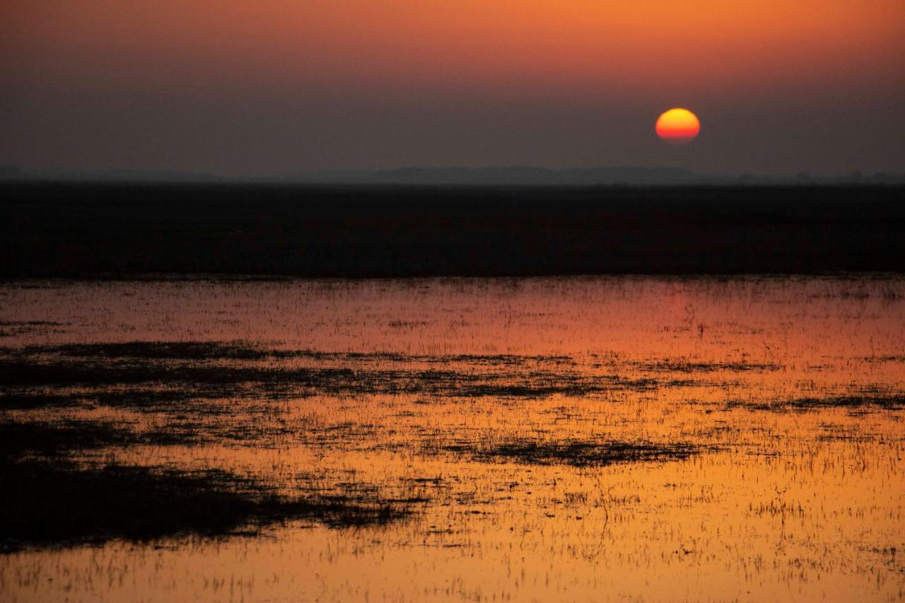 Hajdu Lovasudvar Хортобадь Экстерьер фото